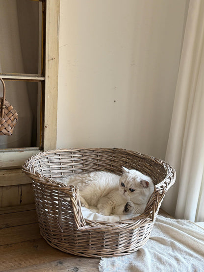 Vintage French Lace-Style Wicker Pet Bed - Handwoven Cat  Nest