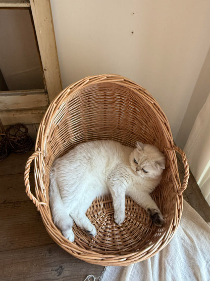 Handwoven Wicker Cat Bed - Spacious, Comfortable, and Natural