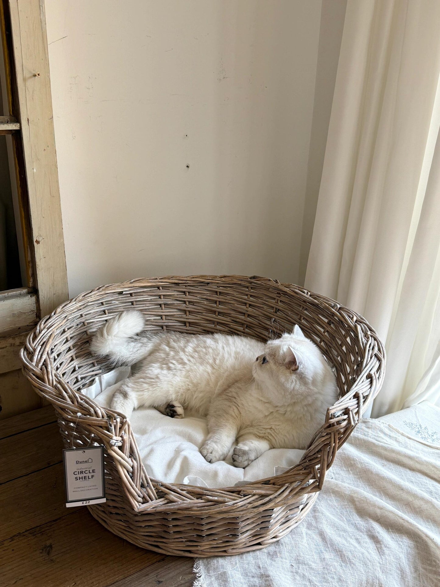 Vintage French Lace-Style Wicker Pet Bed - Handwoven Cat  Nest