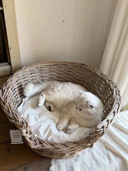 Vintage French Lace-Style Wicker Pet Bed - Handwoven Cat  Nest