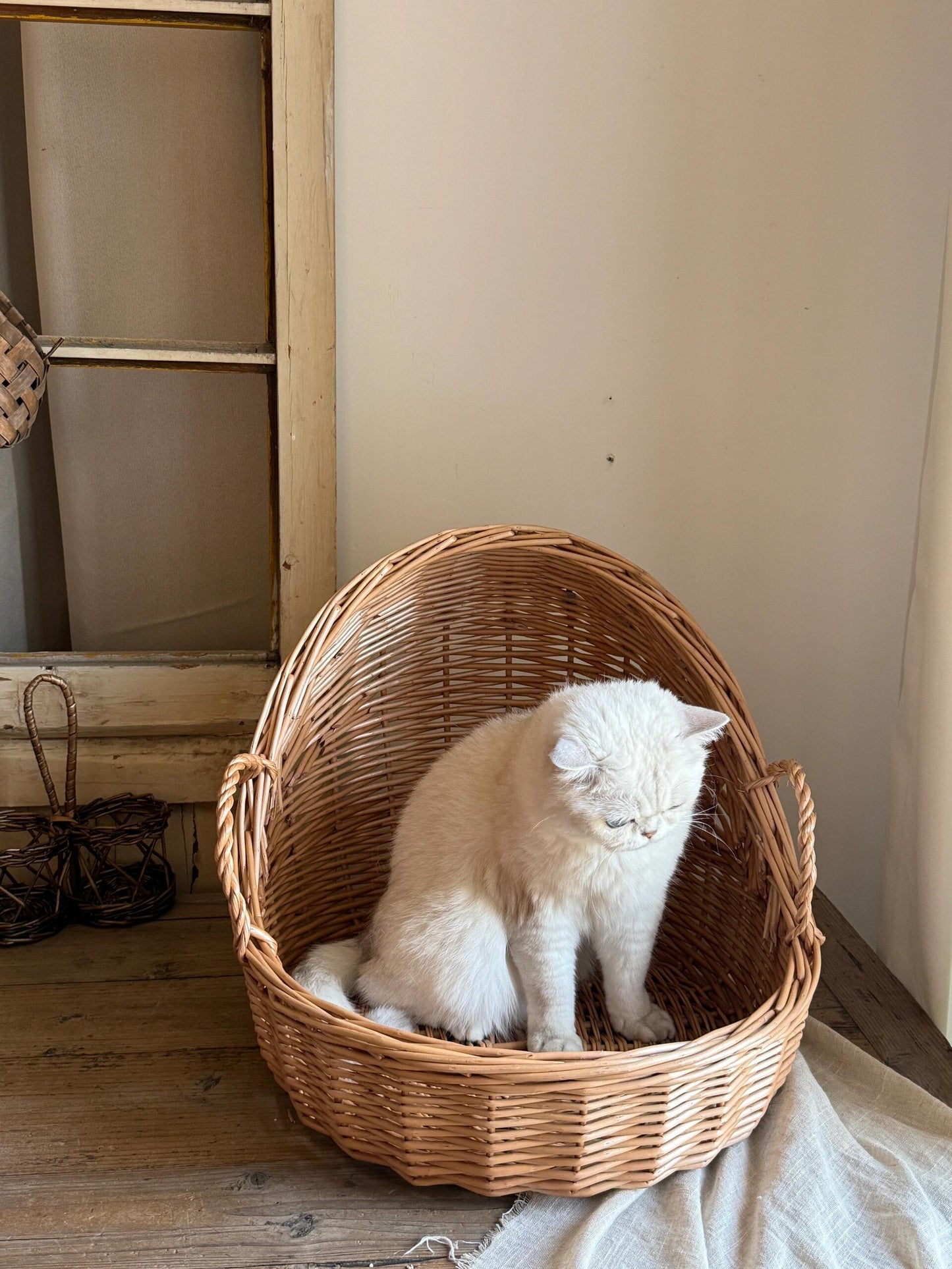 Handwoven Wicker Cat Bed - Spacious, Comfortable, and Natural